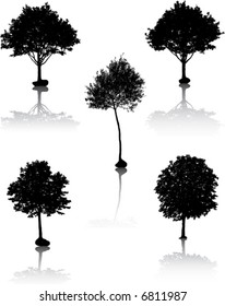 Black tree silhouettes. Vector illustration.