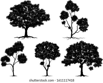 Black tree Symbol style. and white background. Hand drawn isolated illustrations.