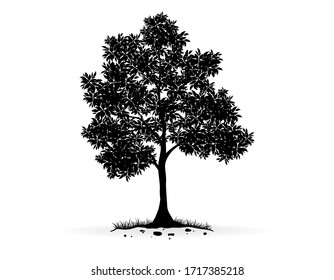 black tree Symbol style.and white background.Can be used for your work.