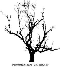 black tree vector illustration design