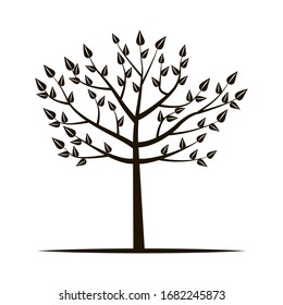 black tree without root with foliage on a white background