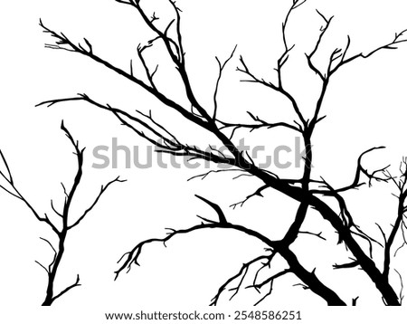 Black Trees and branches look beautiful and refreshing. Tree and Branch background style.