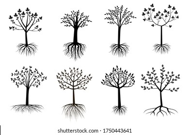 black trees with crown and roots