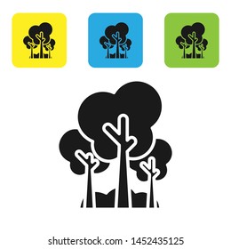 Black Trees icon isolated on white background. Forest symbol. Set icons colorful square buttons. Vector Illustration
