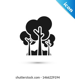 Black Trees icon isolated on white background. Forest symbol.  Vector Illustration