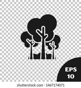Black Trees icon isolated on transparent background. Forest symbol.  Vector Illustration