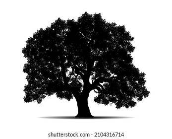 Los árboles negros y la raíz con hojas se ven hermosos y refrescantes. Estilo LOGO de árbol y raíces.