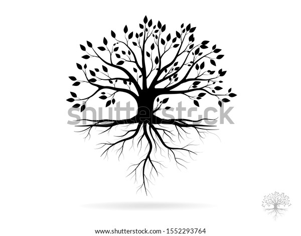 Black Trees Root Leaves Look Beautiful Stock Vector (Royalty Free