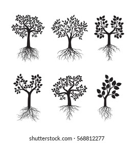 Black Trees with Roots. Vector Illustration.