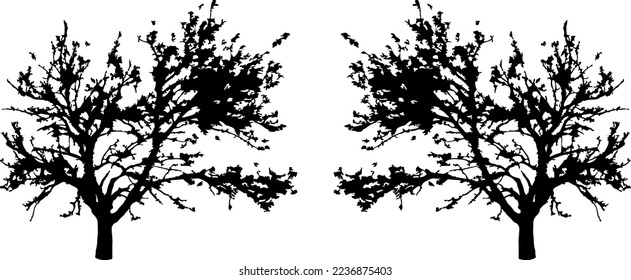 Black trees set isolated on white background. Tree silhouettes. Design of trees for posters, banners and promotional items. Vector illustration