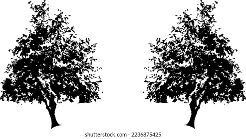 Black trees set isolated on white background. Tree silhouettes. Design of trees for posters, banners and promotional items. Vector illustration