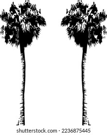 Black trees set isolated on white background. Tree silhouettes. Design of trees for posters, banners and promotional items. Vector illustration
