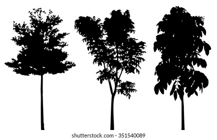 Black trees silhouette vector,   plant shadow flat icon,   grey symbol forest isolated design,   gray jungle botany shape outline,  wild icon cartoon tattoo.