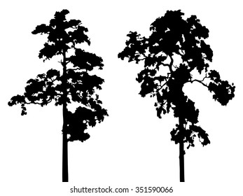 Black trees silhouette vector, plant shadow flat icon, grey symbol forest isolated design, gray jungle botany shape outline, wild icon cartoon tattoo.