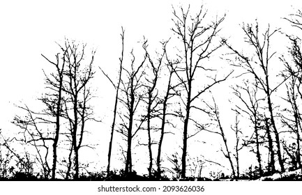 black trees without leaves on a transparent background