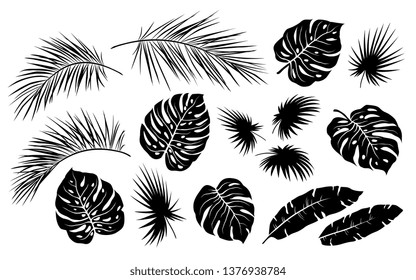 black tropical jungle isolated palm leaves set