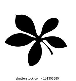 Black tropical leaf on white background for decoration design. Leaf icon. Palm tree silhouette. Vector silhouette illustration isolated. Exotic jungle wallpaper. Vector illustration nature background