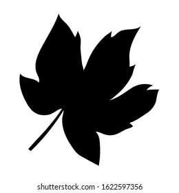 Black tropical leaf on white background for decoration design. Leaf icon. Palm tree silhouette. Vector silhouette illustration isolated. Exotic jungle wallpaper. Vector illustration nature background