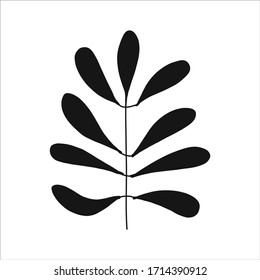 Black tropical leaf silute on an isolated white background. Botanical tree branches, palm leaf on the stem. Spring summer leaf. Concept design logo icon for the application. Vector illustration.