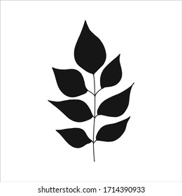 Black tropical leaf silute on an isolated white background. Botanical tree branches, palm leaf on the stem. Spring summer leaf. Concept design logo icon for the application. Vector illustration.