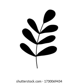 Black tropical leaf silute on an isolated white background. Botanical tree branches, palm leaf on the stem. Spring summer leaf. Concept design logo icon for the application. Vector illustration.