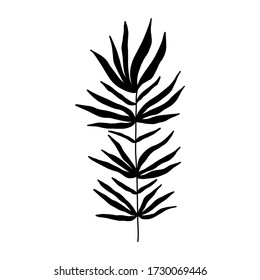 Black tropical leaf silute on an isolated white background. Botanical tree branches, palm leaf on the stem. Spring summer leaf. Concept design logo icon for the application. Vector illustration.