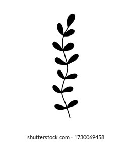 Black tropical leaf silute on an isolated white background. Botanical tree branches, palm leaf on the stem. Spring summer leaf. Concept design logo icon for the application. Vector illustration.