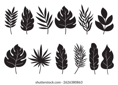 Black tropical leaves silhouettes set isolated on white background for poster, print, invitation, cover design. Ornamental exotic leaves silhouettes. Palm, banana, monstera, coconut leaves