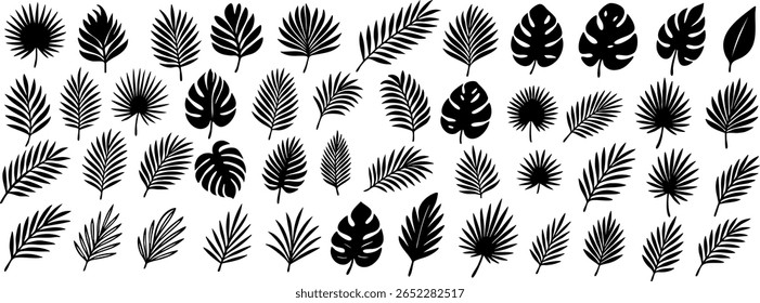 Black tropical palm leaves set on transparent background. Silhouettes ideal for modern botanical design, jungle vibes, and minimalist nature compositions. Vector EPS 10