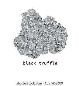 Black Truffle. Gourmet mushroom. Hand drawing. Style Vintage engraving. Vector illustration art. Black and white. Isolated objects of nature. Cooking food design for menu, store signs, markets.