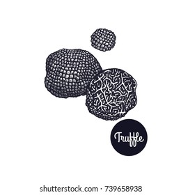 Black Truffle. Gourmet mushroom. Hand drawing. Style Vintage engraving. Vector illustration art. Black and white. Isolated objects of nature. Cooking food design for menu, store signs, markets.