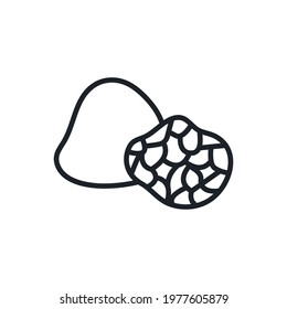 Black truffle icon. Vector isolated linear icon contour shape outline. Thin line. Modern glyph design. Mushrooms. Food ingredients.