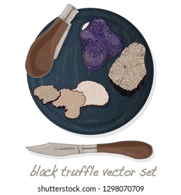 Black truffle illustration set on dish isolated white background.