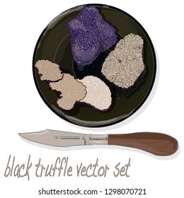 Black truffle illustration set on dish isolated white background.
