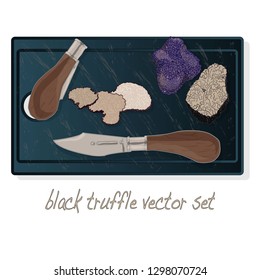 Black truffle illustration set on dish isolated white background.