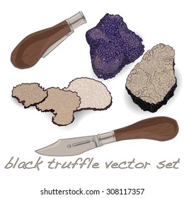 black truffle isolated