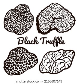 Black truffle line art. Vector mushroom illustrations isolated on white background for book, market, restaurant menu, package design.