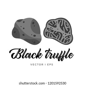 Black truffle mushroom, cut sliced, vector editable illustration. Flat simple style, gourmet food.