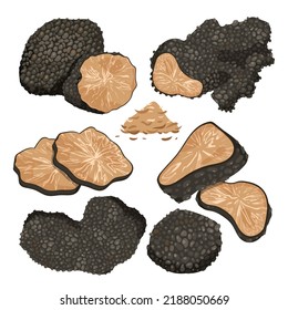 Black truffle mushroom set vector illustration. Cartoon isolated whole truffle, cut in half and slices, delicious food ingredient for cooking gourmet dishes, luxury delicatessen wild French mushroom