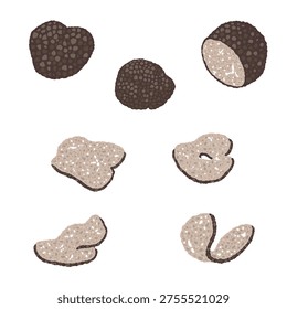 Black Truffle Mushroom Variation Set Hand Drawn Vector Illustration