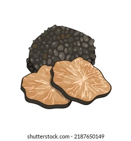 Black truffle mushroom vector illustration. Cartoon isolated whole forest truffle tuber and cut in slices for cooking luxury gourmet Italian and French cuisine, precious restaurant or home menu