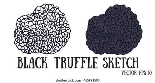 Black Truffle Mushrooms Cartoon Sketch Vector.