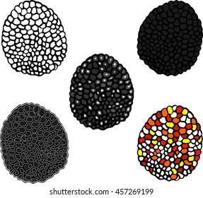black truffle set