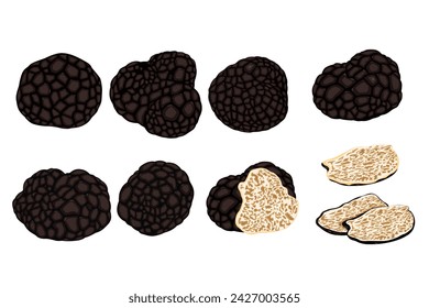 Black Truffle vector illustration on white background. Isolated cartoon set icon mushroom. Vector cartoon set icon truffle. Vector eps 10. perfect for wallpaper or design elements