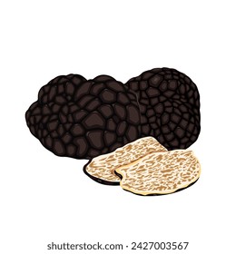 Black Truffle vector illustration on white background. Isolated cartoon set icon mushroom. Vector cartoon set icon truffle. Vector eps 10. perfect for wallpaper or design elements