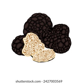 Black Truffle vector illustration on white background. Isolated cartoon set icon mushroom. Vector cartoon set icon truffle. Vector eps 10. perfect for wallpaper or design elements