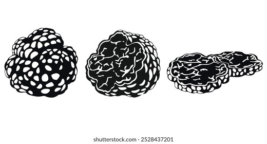 Black truffle vector logo on white background