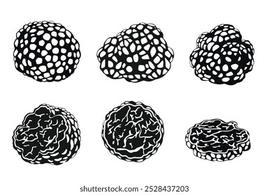 Black truffle vector logo on white background