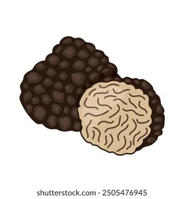 black truffle wild mushrooms icon; exclusive gourmet product - vector illustration