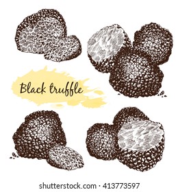 Black truffles group and slices isolated on white. Delicacy and healthy food 